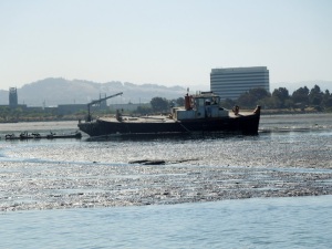 Wreck - aground in San Leandro Bay